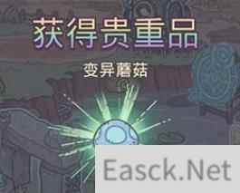 最强蜗牛变异蘑菇位置一览