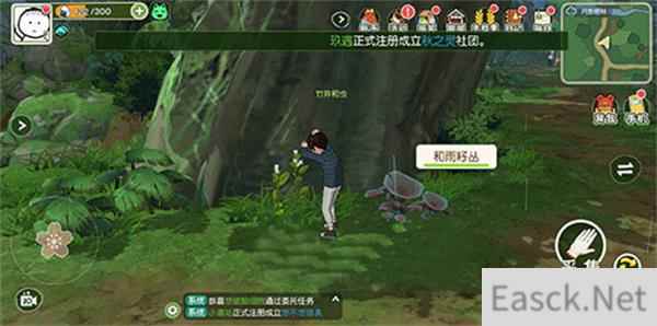 小森生活和雨籽刷新位置一览