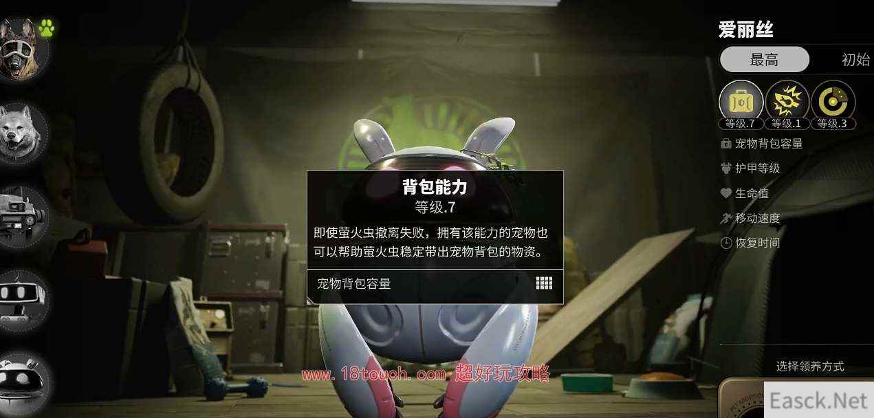 萤火突击宠物选什么好