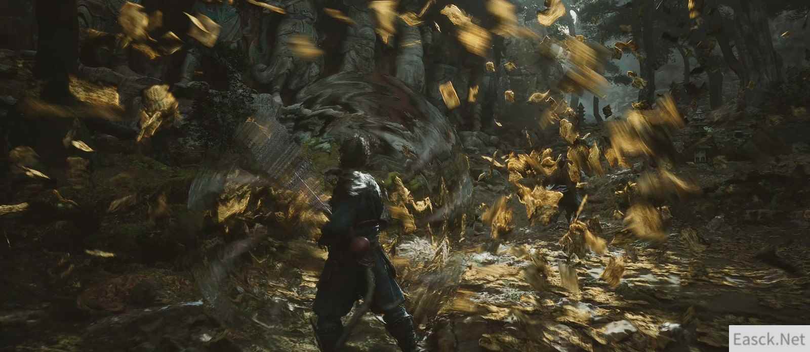 /news/2024/09-29/539654.shtml