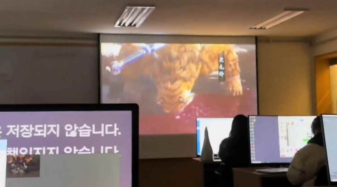 /news/2024/09-29/539671.shtml