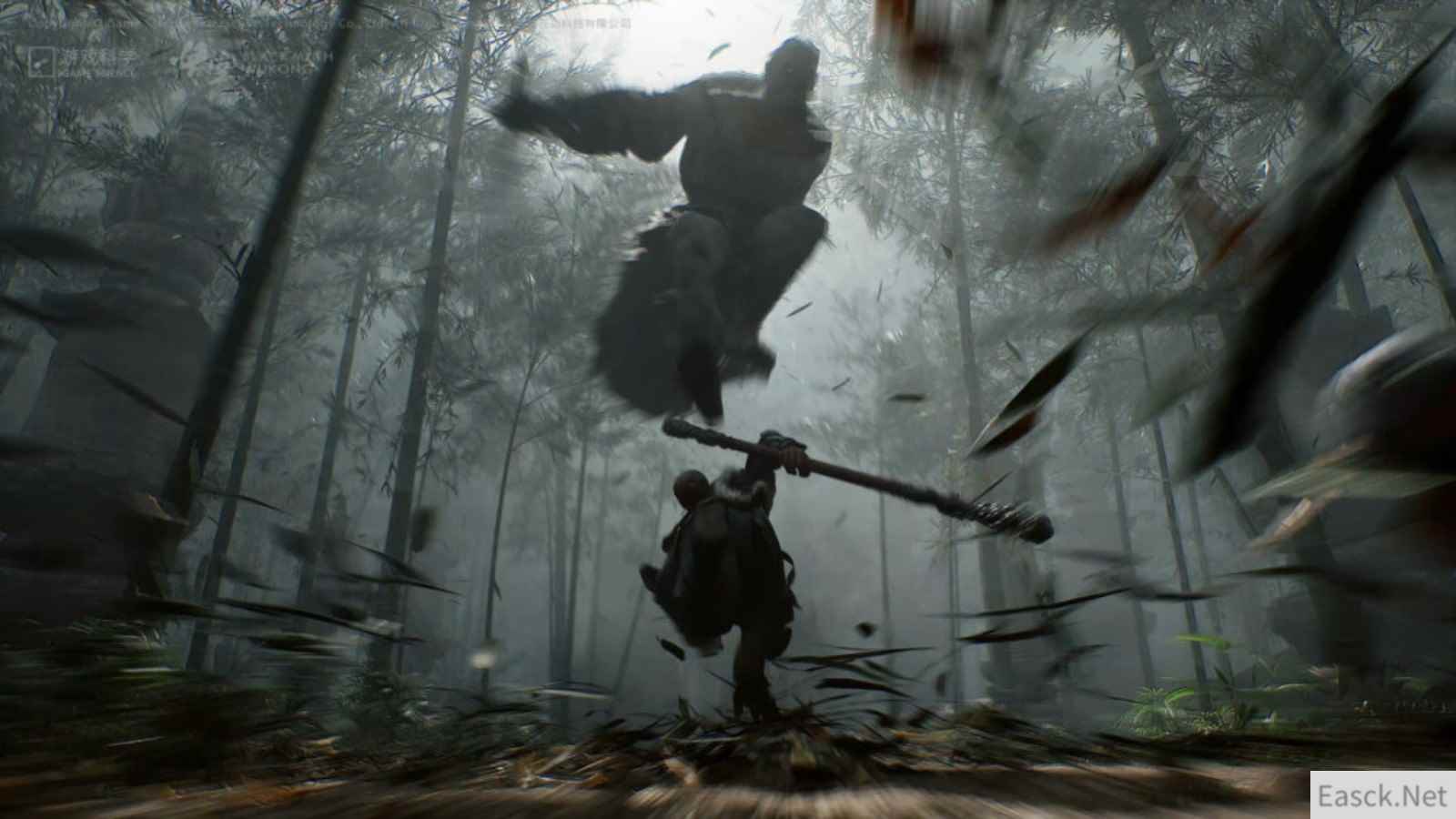 /news/2024/09-29/539674.shtml