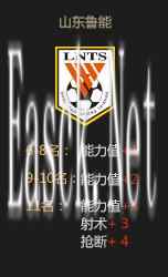 山东鲁能