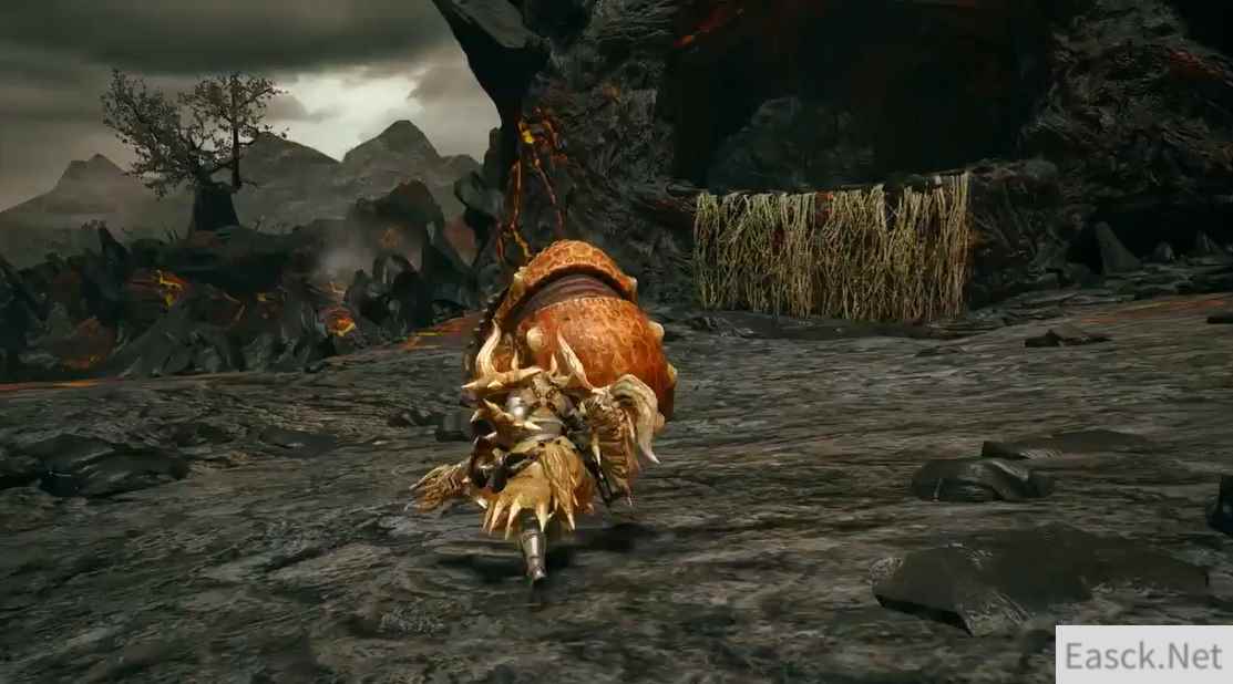 /news/2024/10-08/555441.shtml