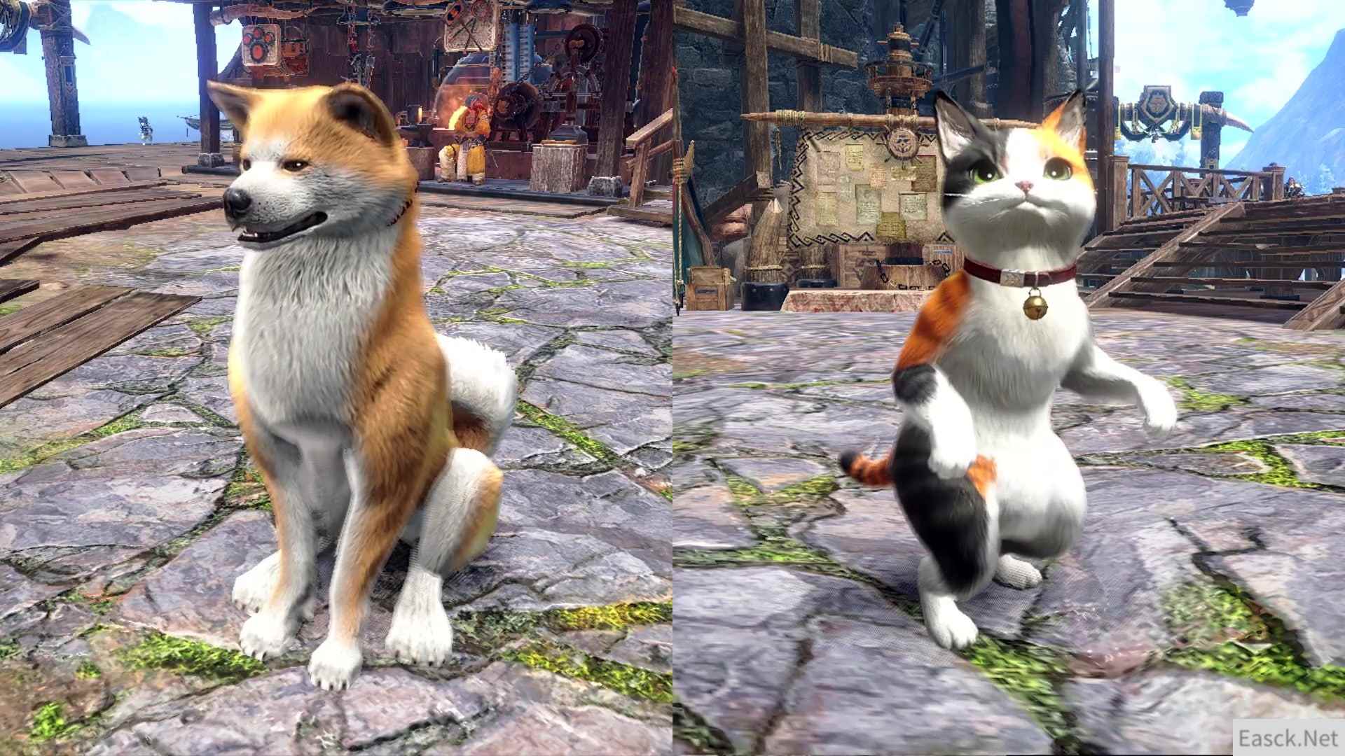 /news/2024/10-08/557273.shtml