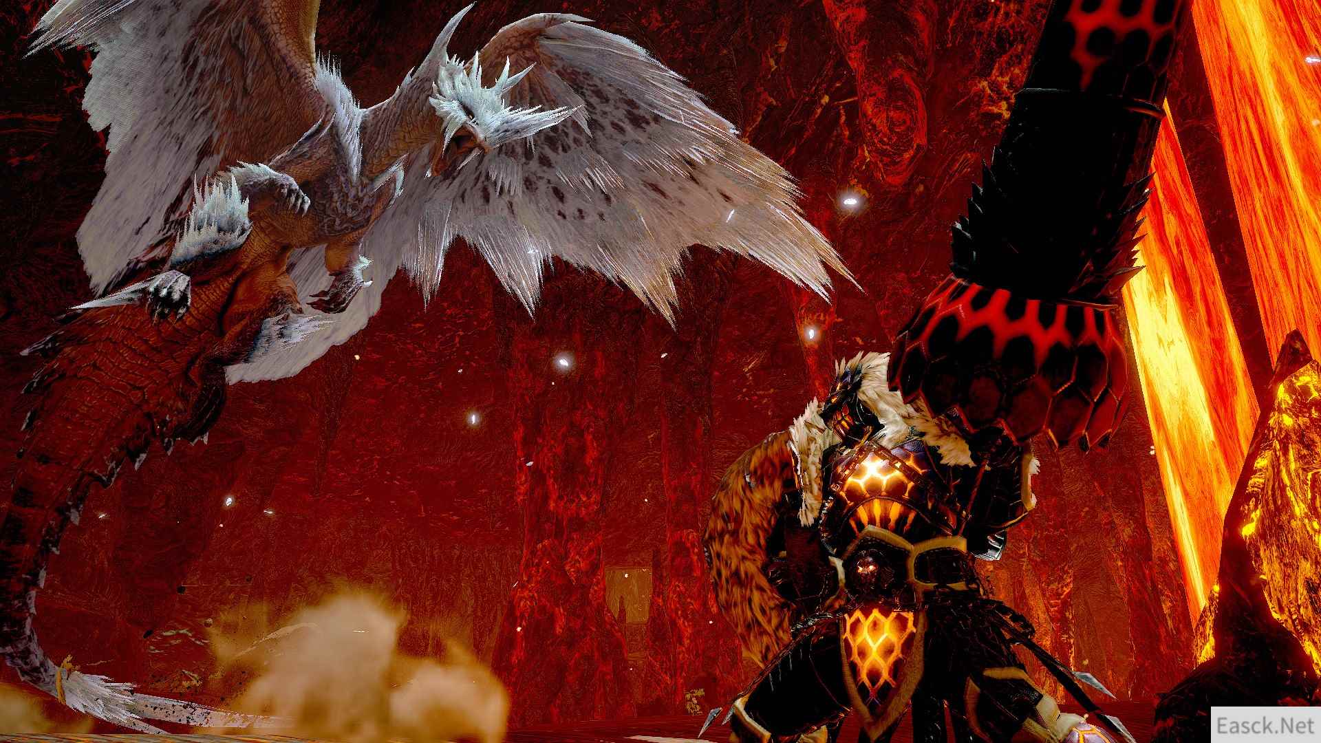 /news/2024/10-08/558258.shtml