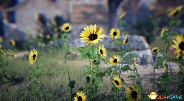 /news/2024/10-10/561734.shtml