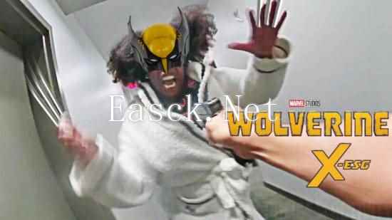 /news/2024/10-17/574228.shtml