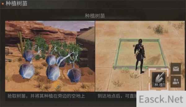 明日之后防沙护林活动攻略