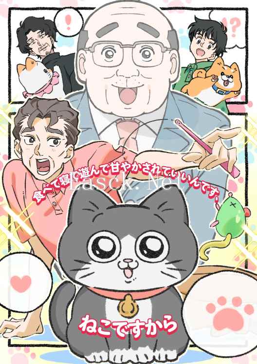 动画《转生成猫咪的大叔》：一部反差萌动画的诞生