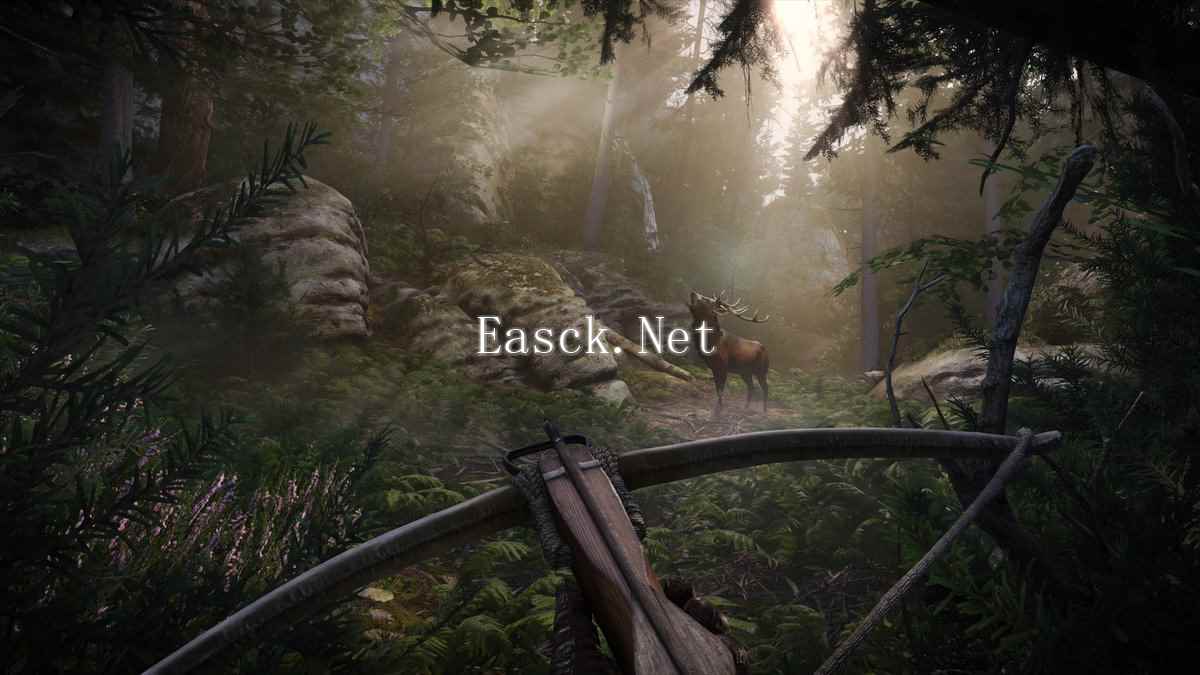 /news/2024/10-23/579790.shtml