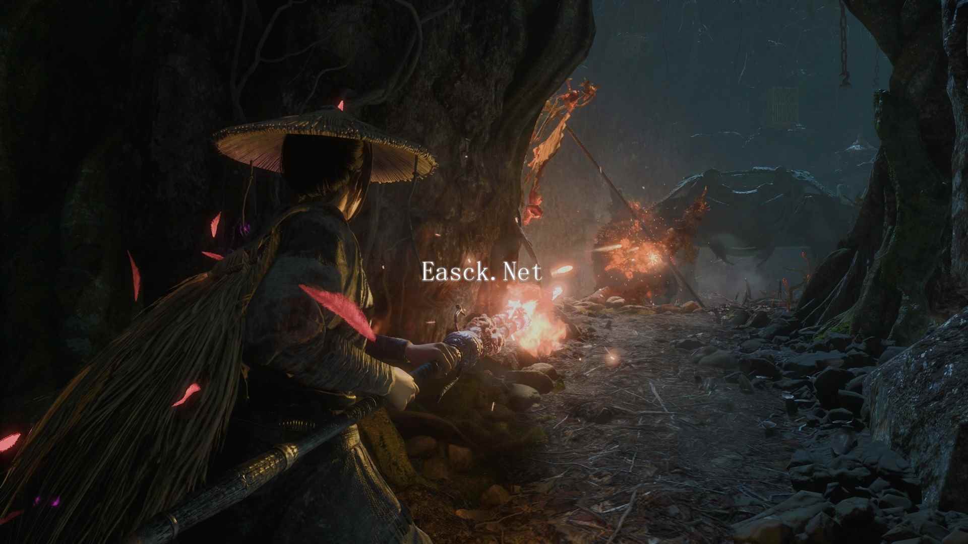 /news/2024/10-31/592091.shtml