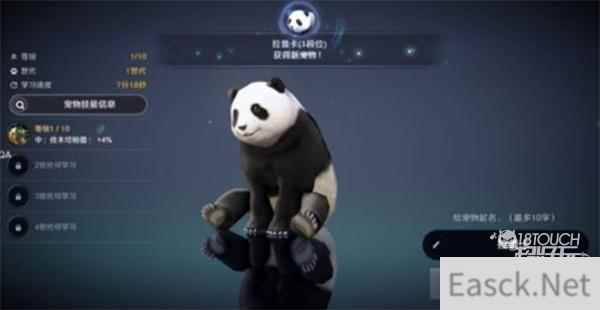 黑色沙漠手游熊猫获得攻略