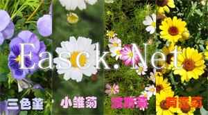 花丛.jpg 花丛.jpg