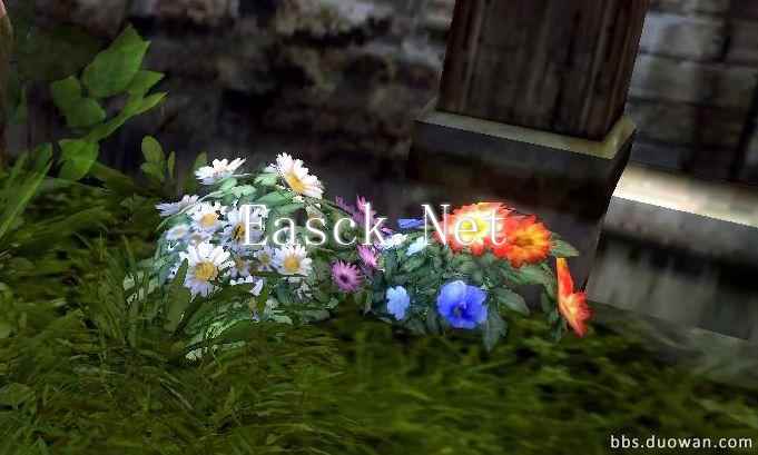 小花.jpg 小花.jpg