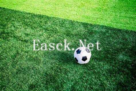 /news/2024/11-16/604093.shtml