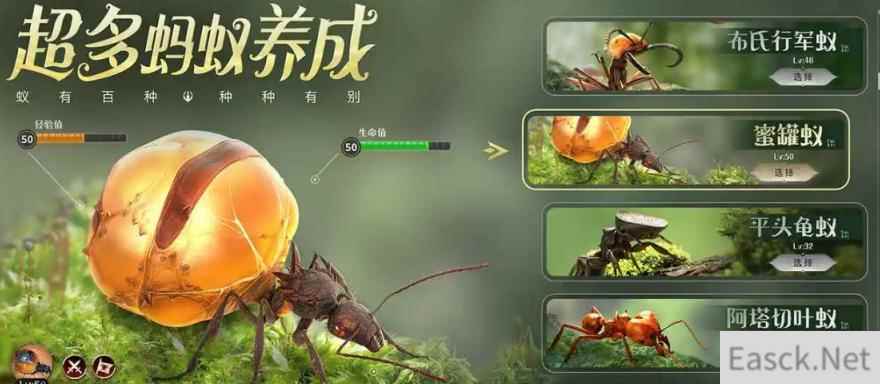 小小蚁国仓库保护作用介绍