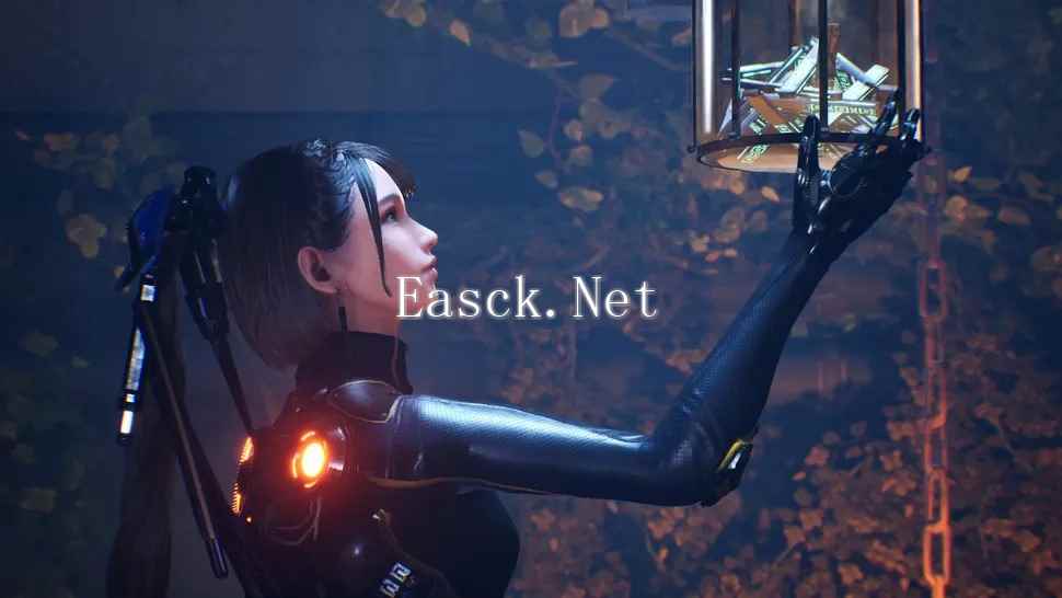 /news/2024/11-18/606338.shtml