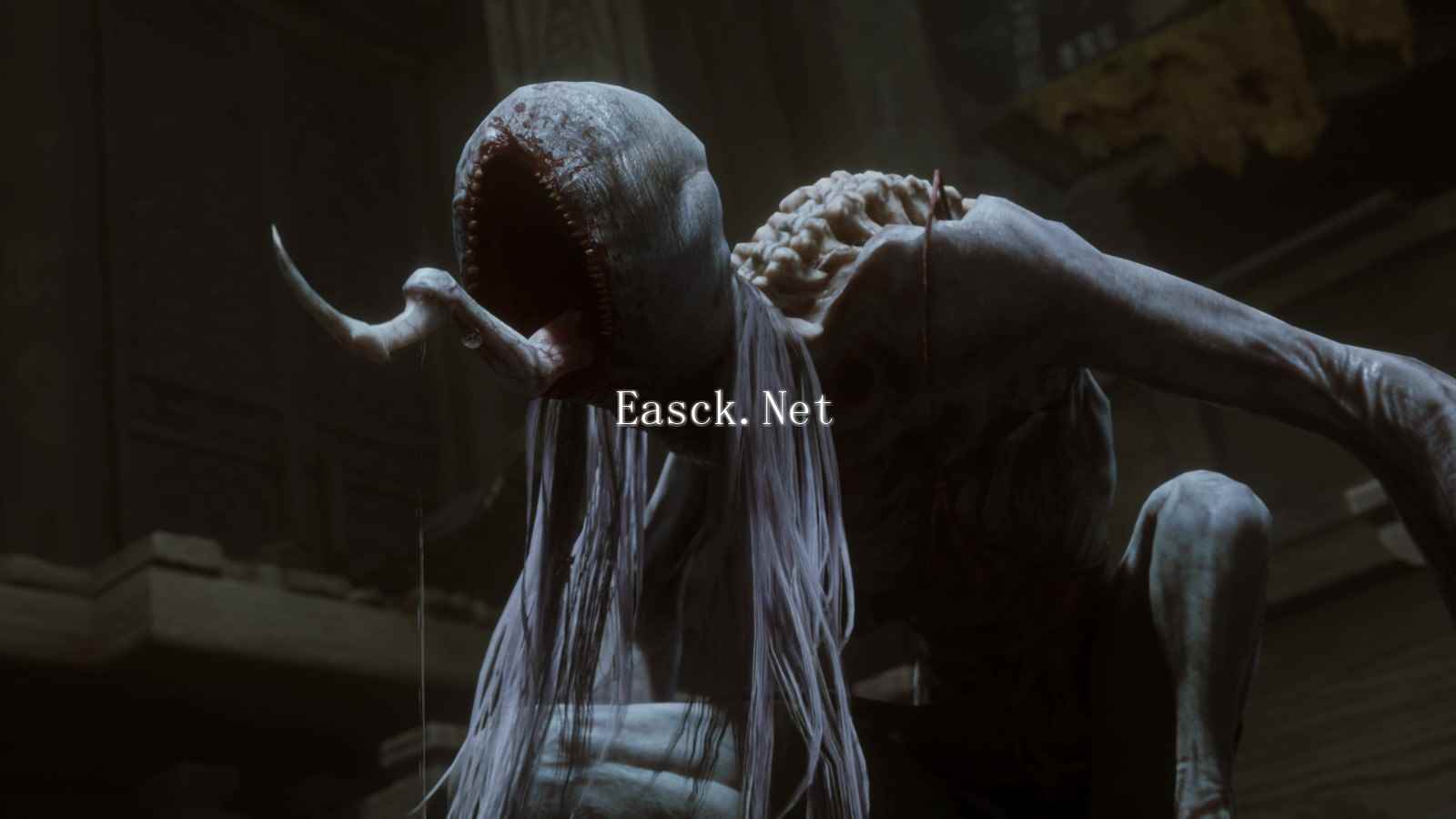 /news/2024/11-19/607841.shtml