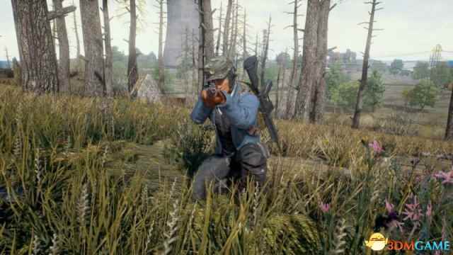 愉快吃鸡 《绝地求生:大逃杀》官方出面解决挂机党