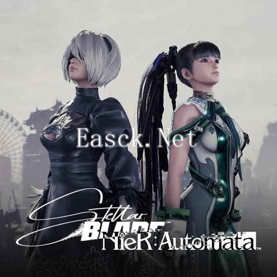 /news/2024/11-20/611499.shtml