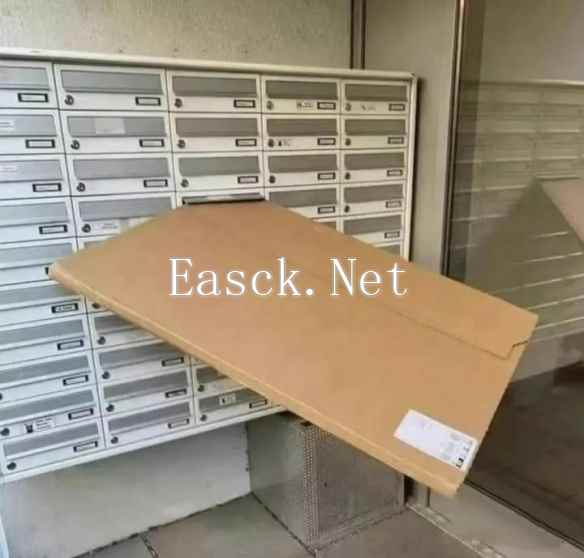 /news/2024/11-21/616217.shtml