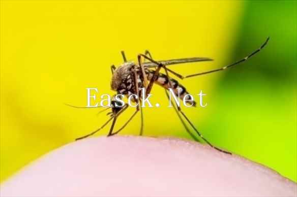 /news/2024/11-26/622600.shtml