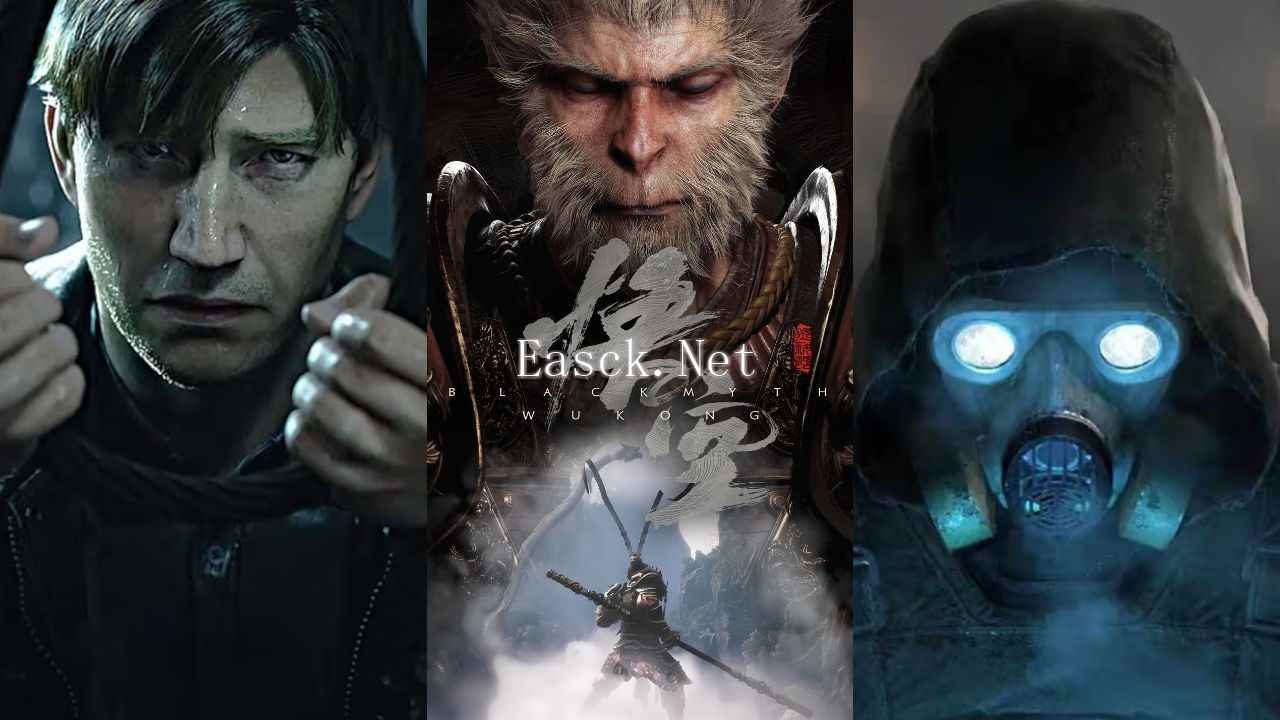 /news/2024/11-27/623080.shtml