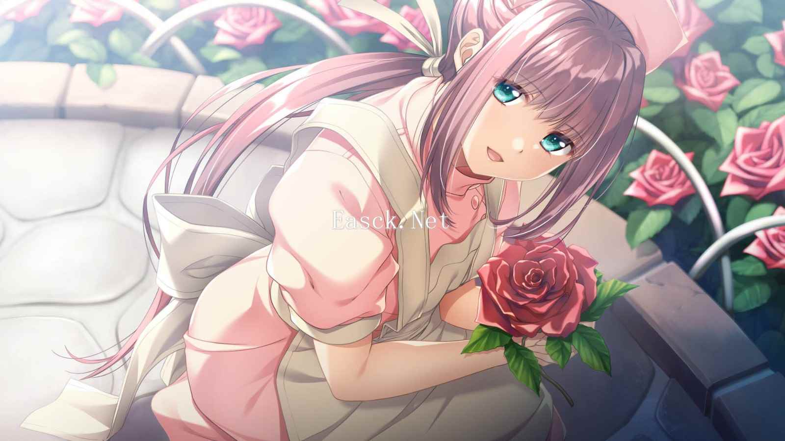 /news/2024/11-27/623855.shtml