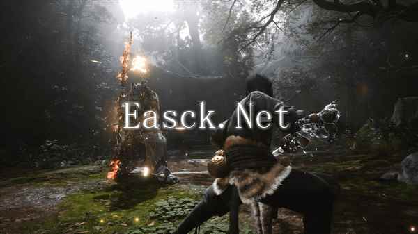 /news/2024/11-29/625645.shtml