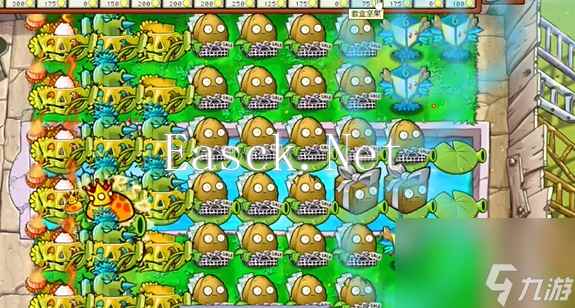 植物大战僵尸杂交版英雄模式谁笑到最后攻略