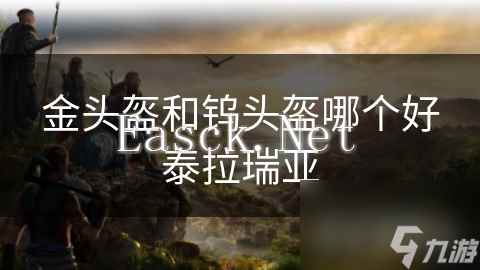 金头盔和钨头盔哪个好泰拉瑞亚