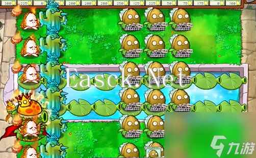 植物大战僵尸杂交版英雄模式谁笑到最后攻略