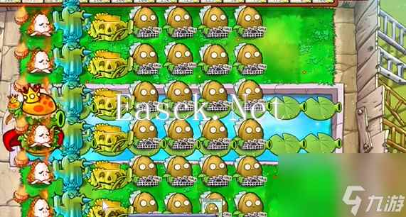 植物大战僵尸杂交版英雄模式谁笑到最后攻略