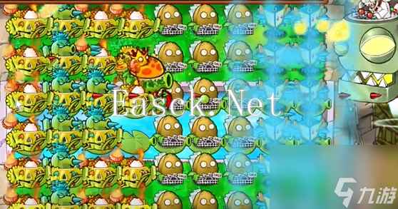 植物大战僵尸杂交版英雄模式谁笑到最后攻略