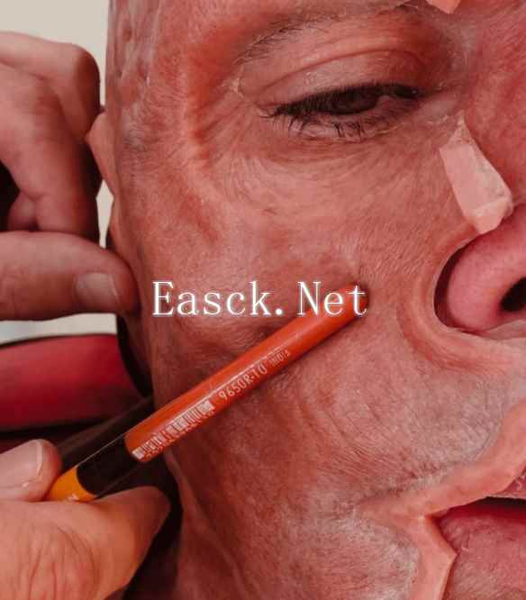 /news/2024/12-05/631550.shtml