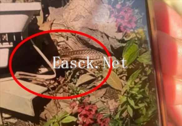 /news/2024/12-08/632799.shtml