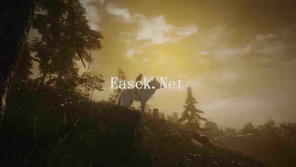 /news/2024/12-09/632888.shtml