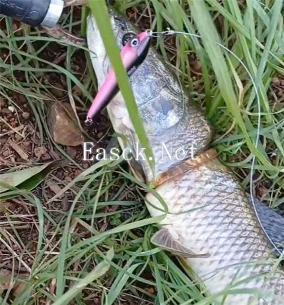 /news/2024/12-24/645161.shtml