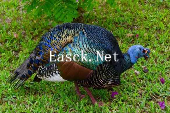 /news/2024/12-26/645777.shtml