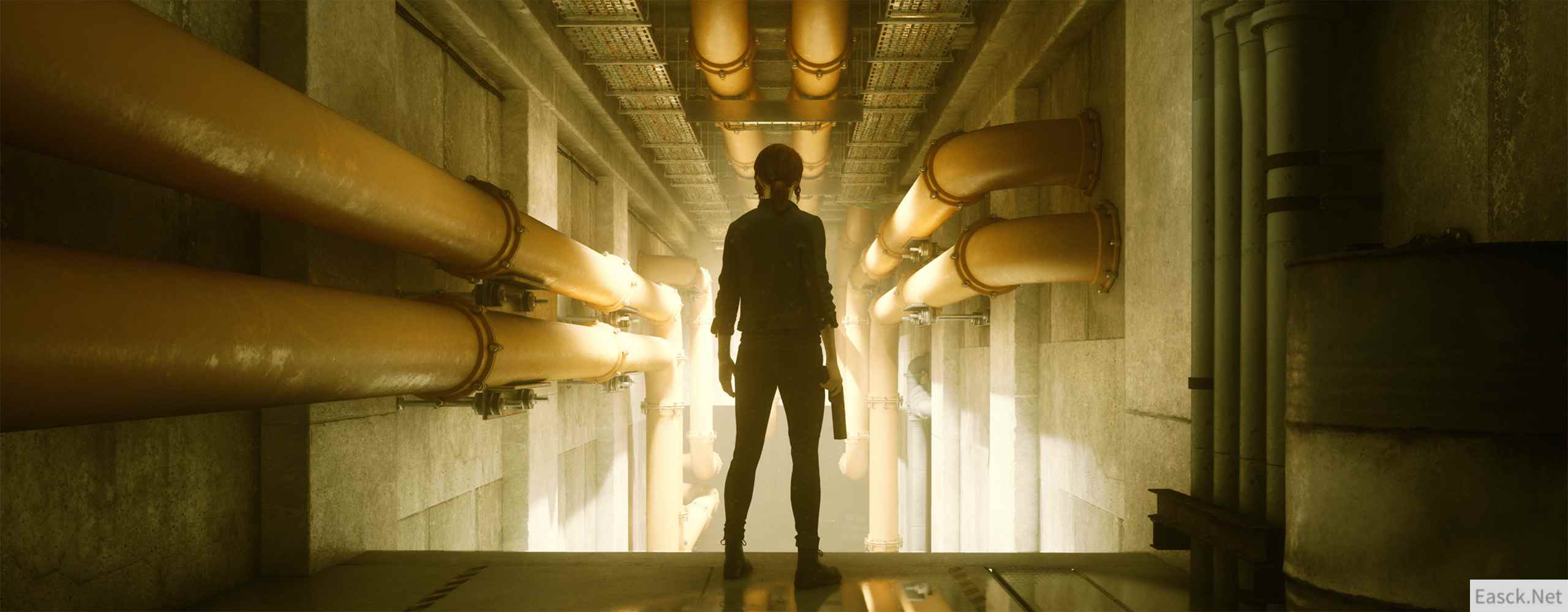 《控制》首发时任何版本都不支持HDR 主机版都是30帧