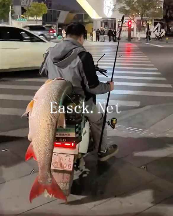 /news/2025/01-02/647777.shtml