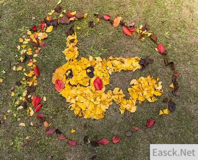 玩家用落叶创意打造宝可梦皮卡丘 抽象还原度引热赞