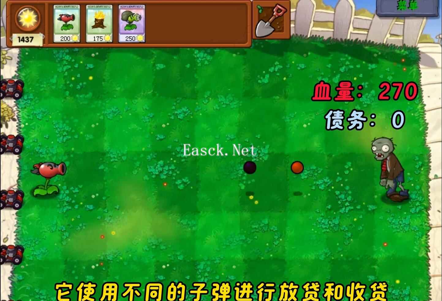 植物大战僵尸杂种版什么时候出 公测上线时间预告