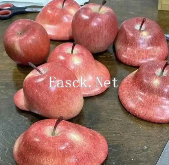 /news/2025/01-11/654120.shtml