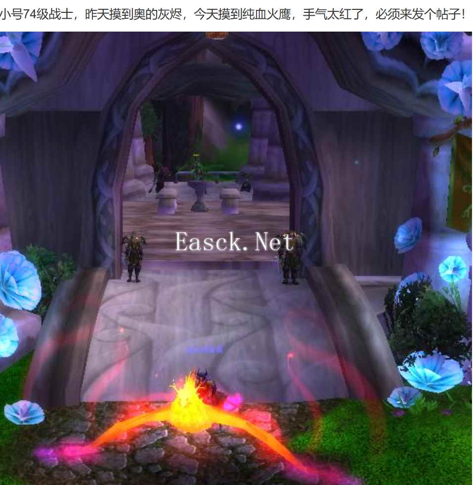 魔兽世界：玩家花费1天，免费获取了凤凰和火焰龙鹰