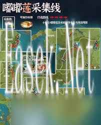 原神嘟嘟莲采集路线全面指南