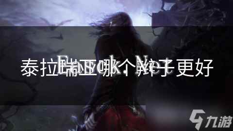 泰拉瑞亚哪个辫子更好