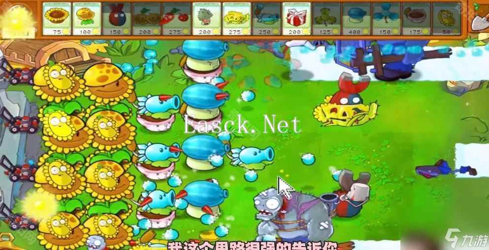 《植物大战僵尸杂交版》冒险模式第50关通关攻略