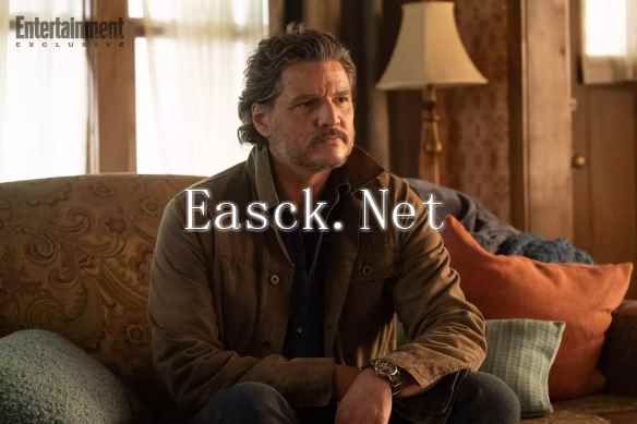 /news/2025/02-06/663805.shtml